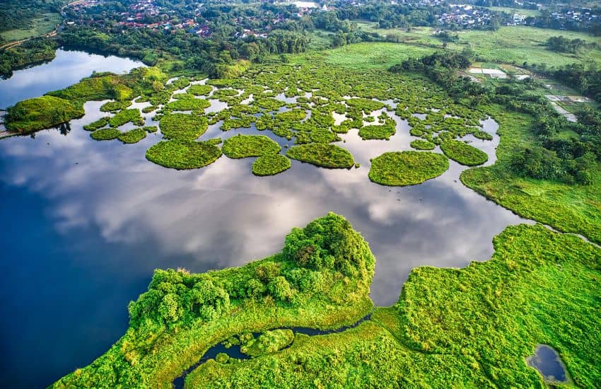 Image d'un espace naturel entre lac et verdure, pour illustrer l'article du blog "Usage du numérique et création de site internet : Pourquoi choisir un web écoresponsable"